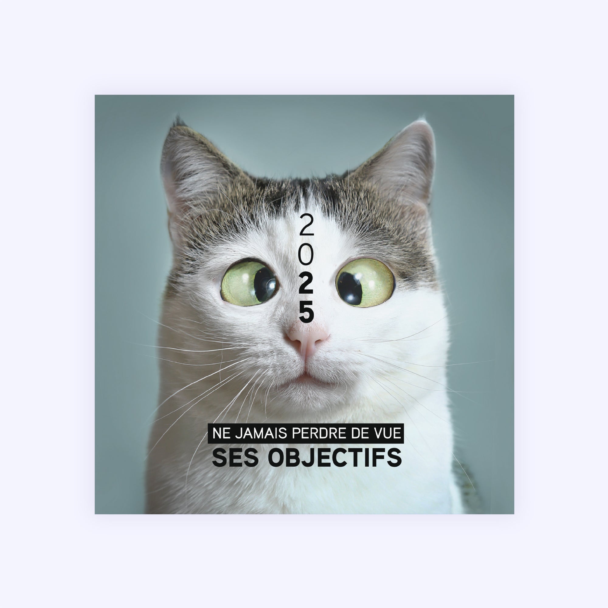 Funny Cat | Vœux professionnels • Carte de voeux photo N° 1